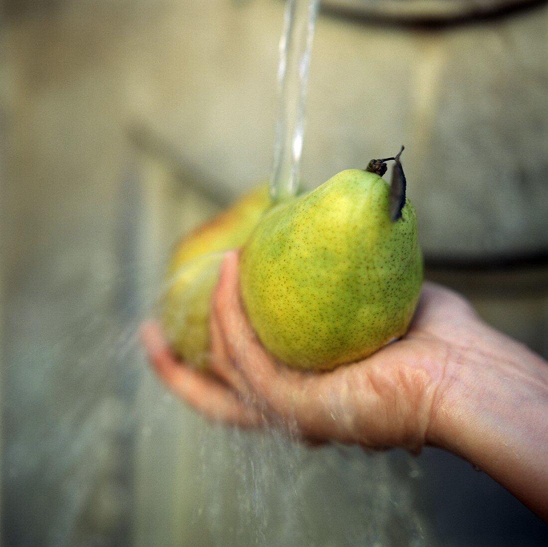 Hands holding two pears under running water