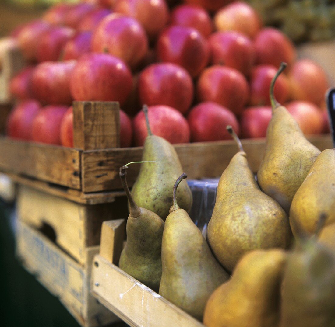 Pears and apples in crates
