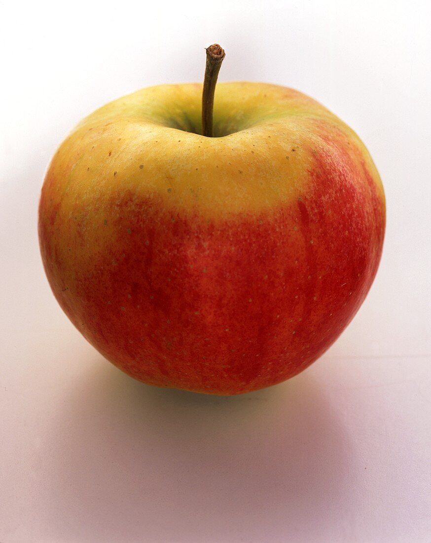 Ein Apfel der Sorte Elstar