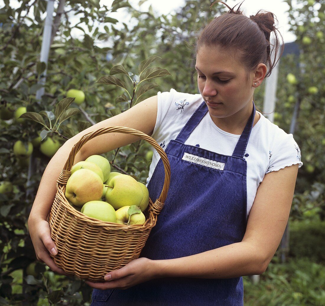 Junge Frau hält einen Korb mit frisch gepflückten Äpfeln