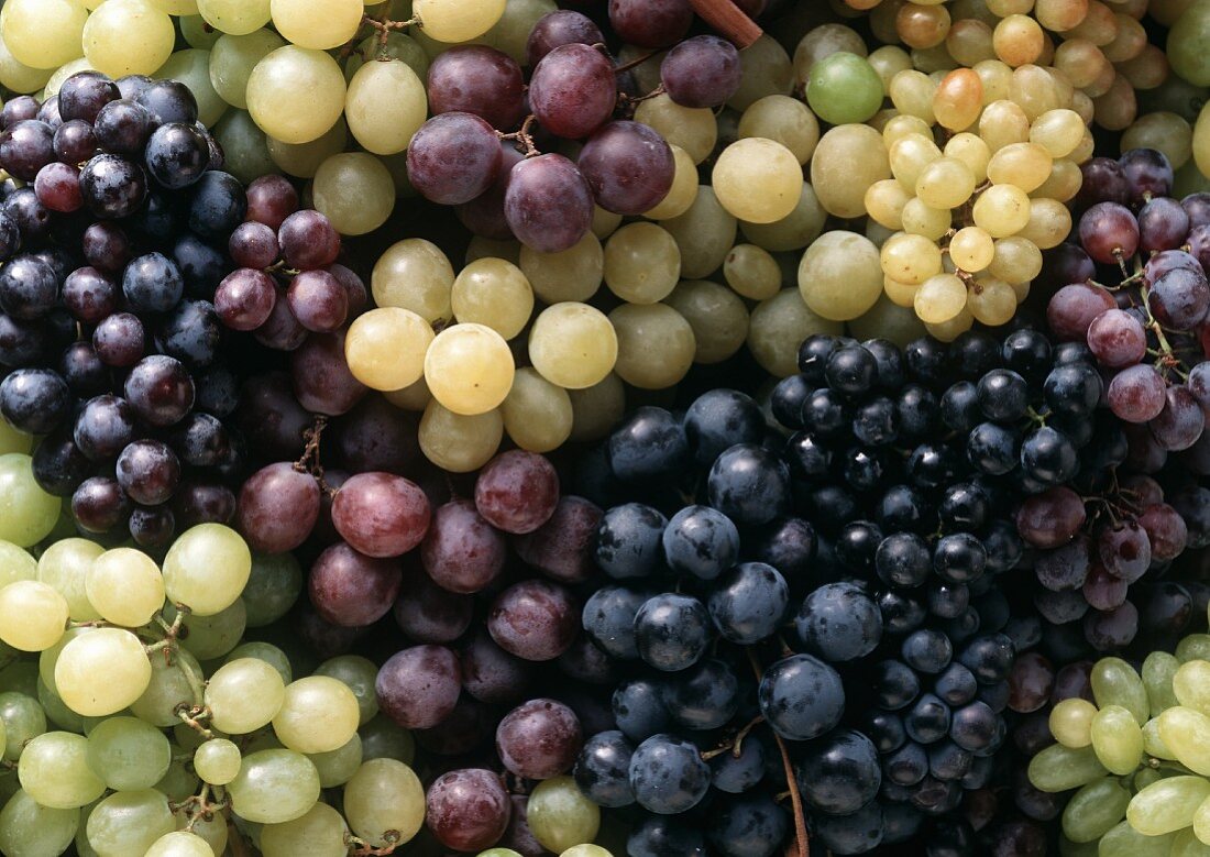 Various red and green grapes (filling the picture)
