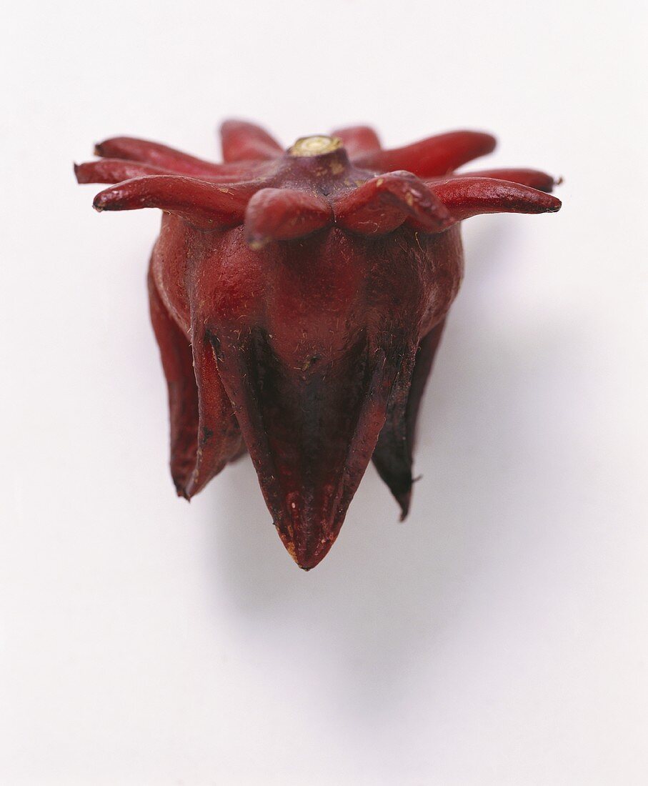 Eine Rosella (Frucht der Malve)