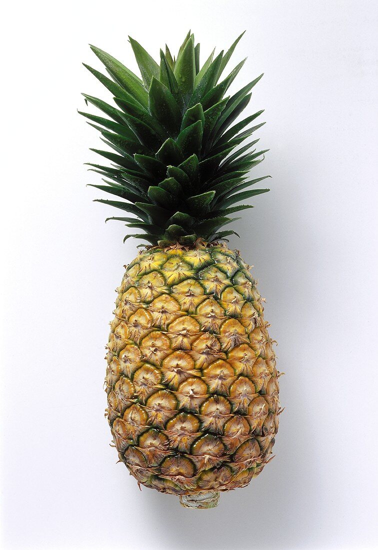 One Pineapple