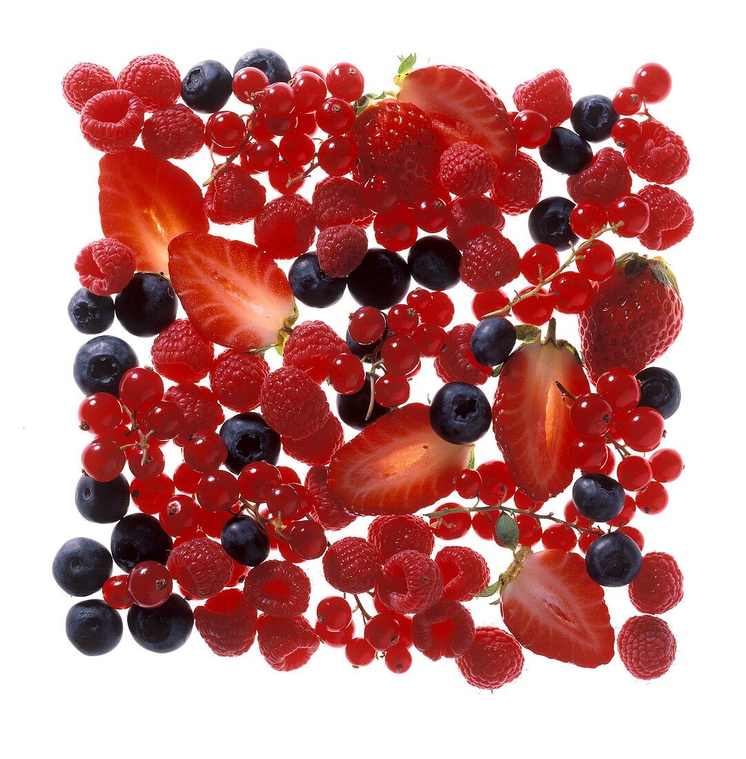 Various Berries in a Square