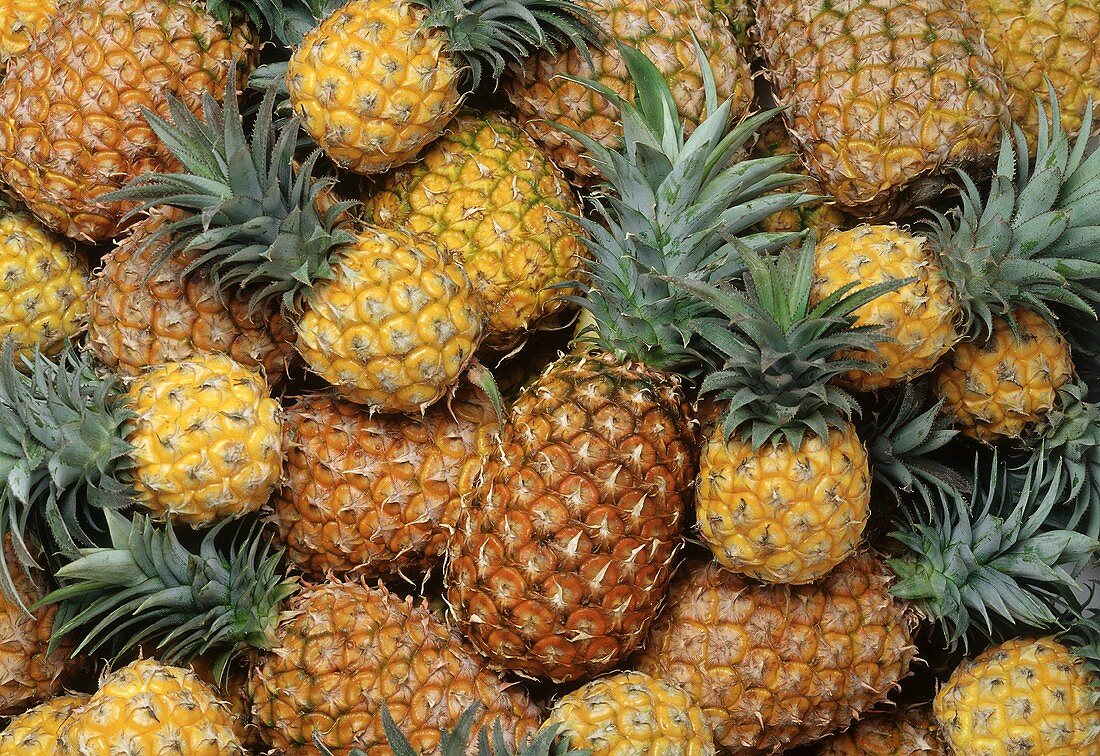 Many pineapples (filling the picture)