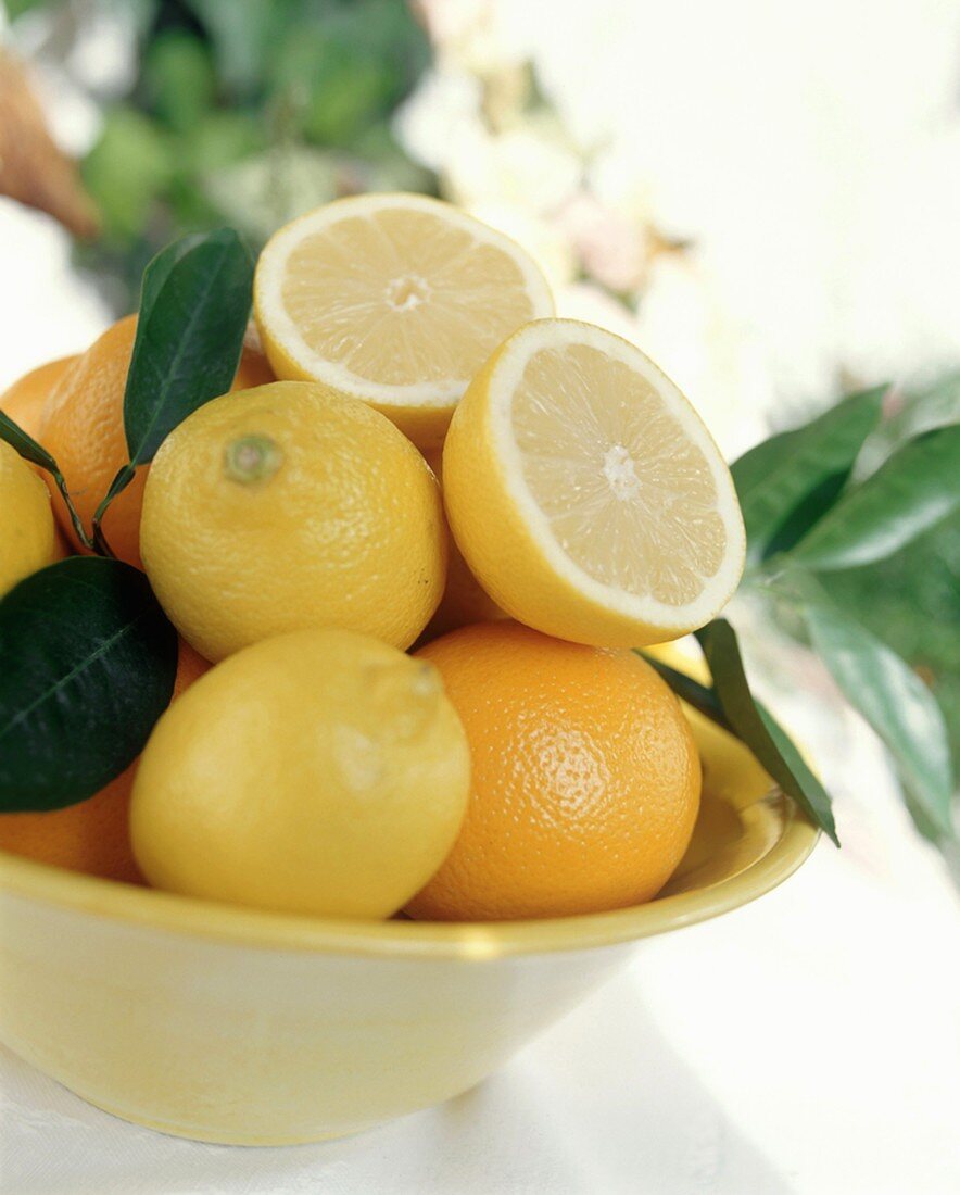 Oranges and lemons in a bowl