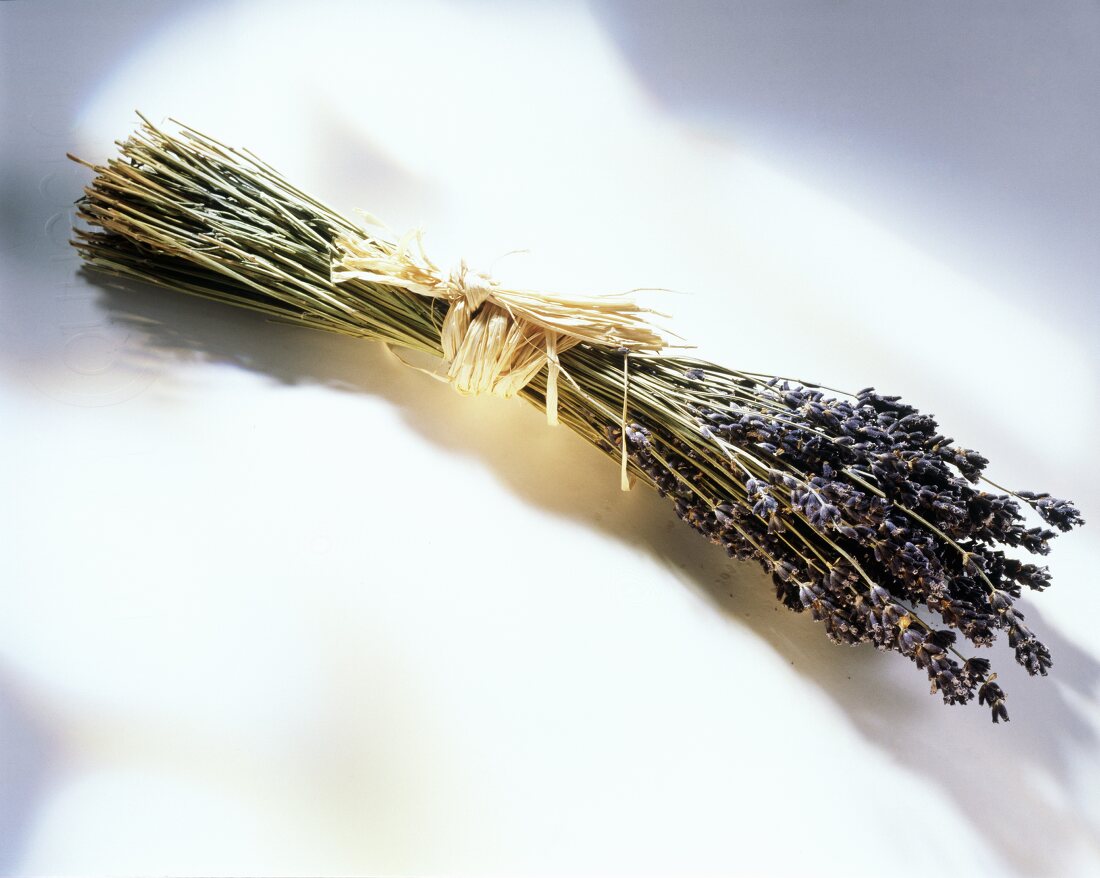 Dried lavender