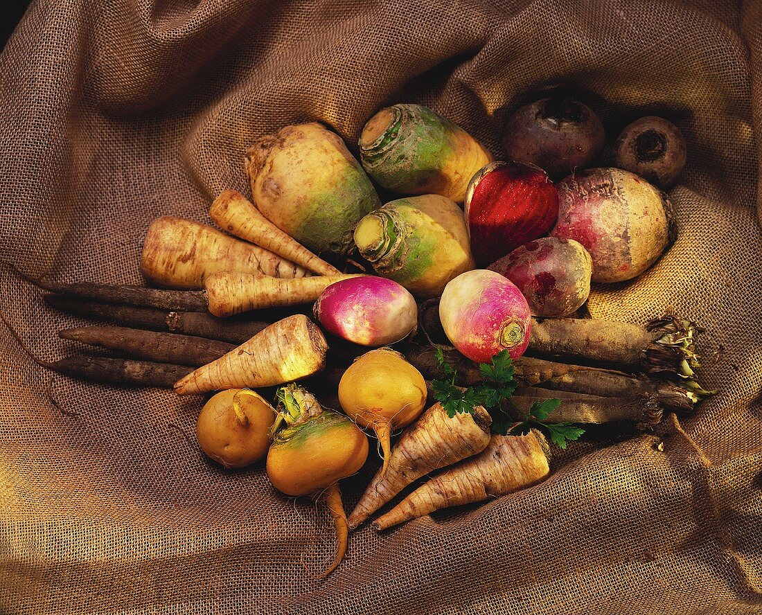 Still life with various types of turnips