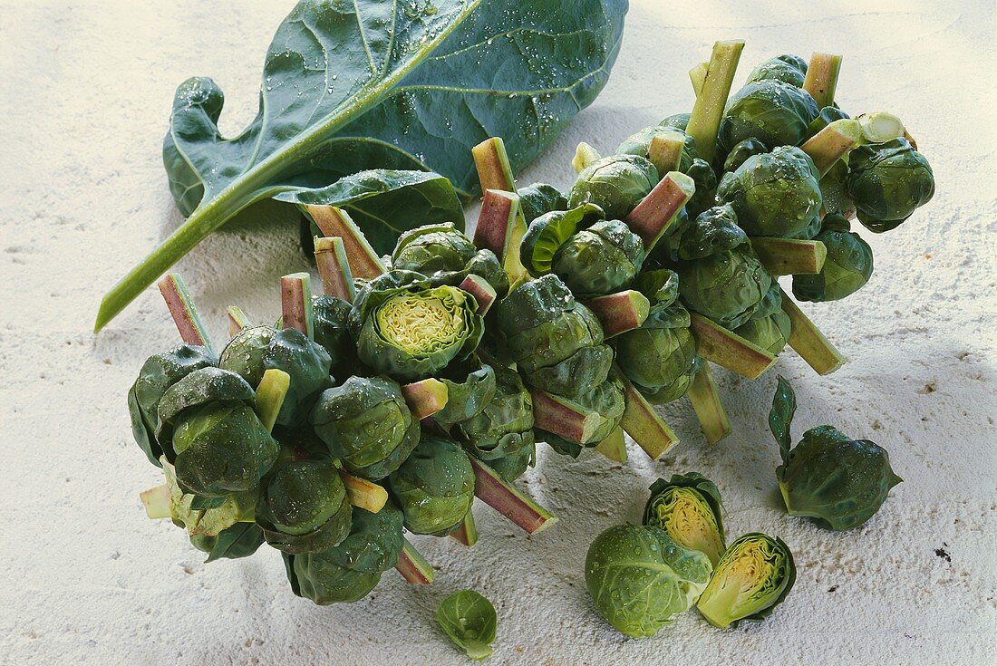 Brussels Sprouts on the Stalk
