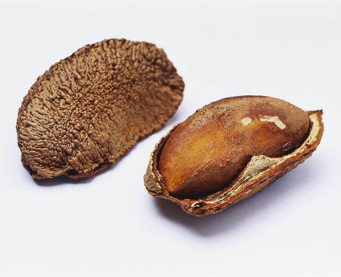 Two Brazil nuts