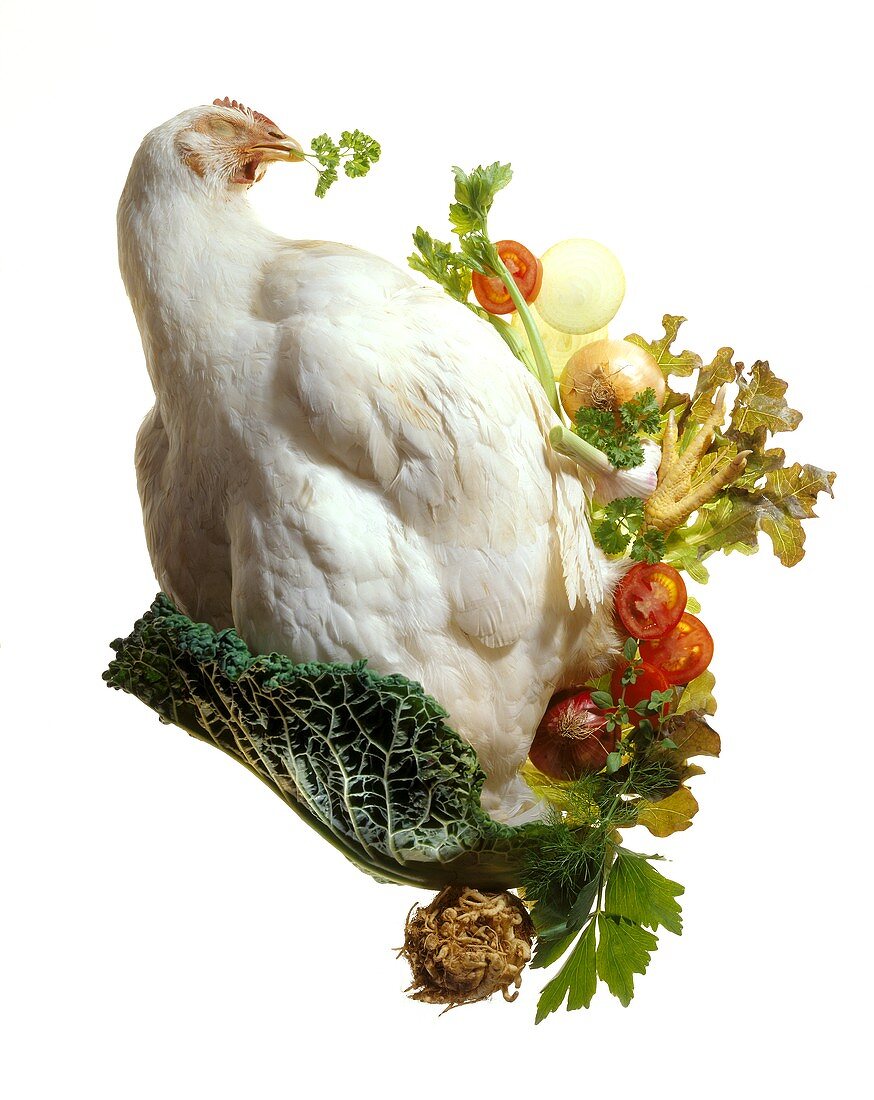 Huhn mit Federn und Gemüse