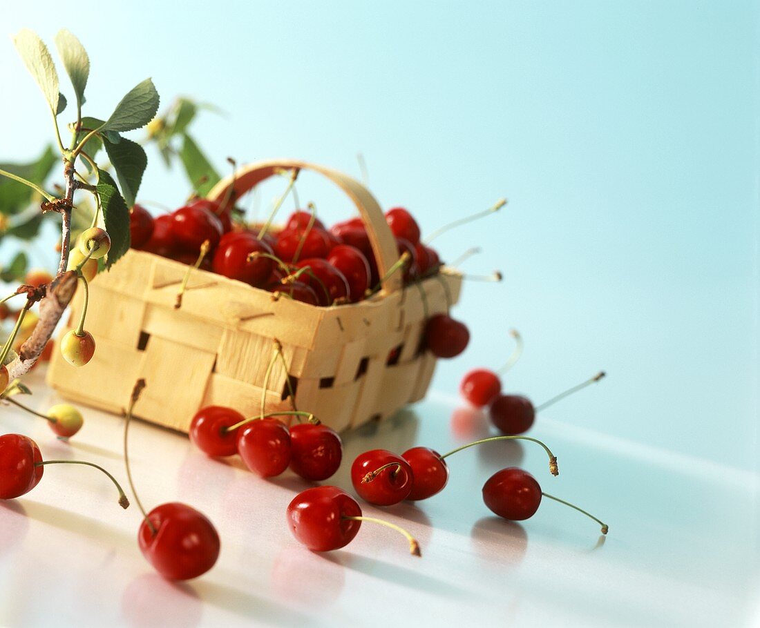 Cherries in wood chip basket