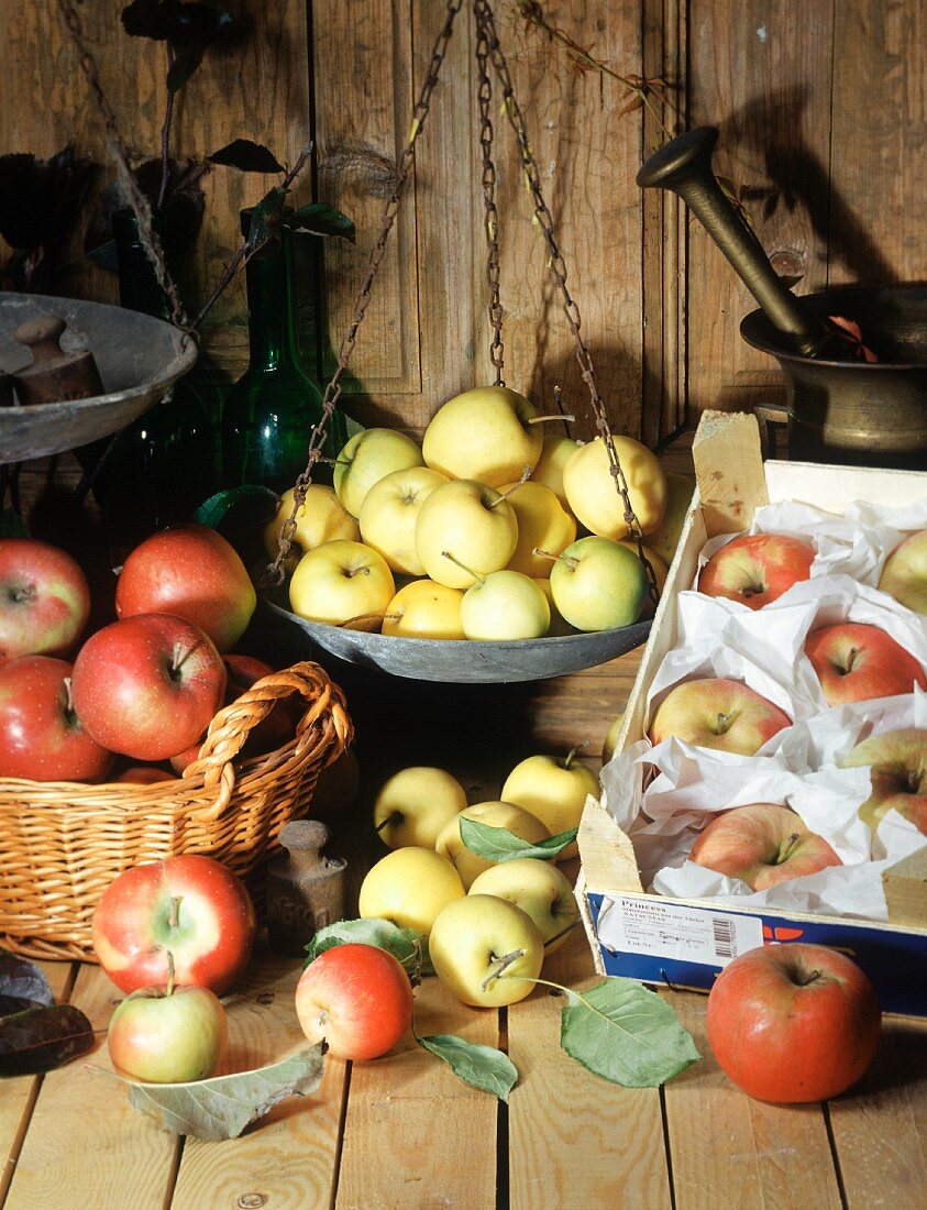 Still life with various types of apple