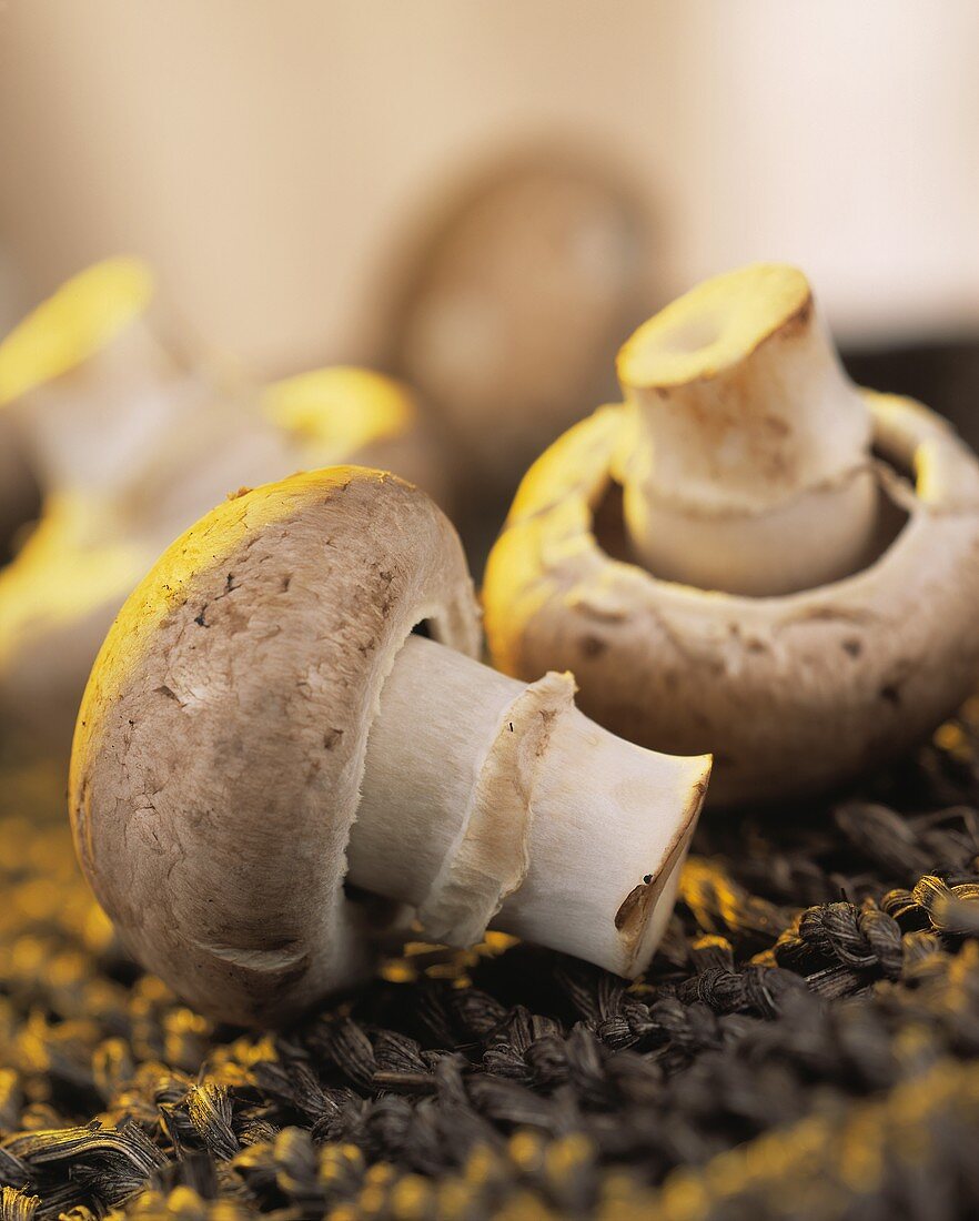 Brown mushrooms (close-up)