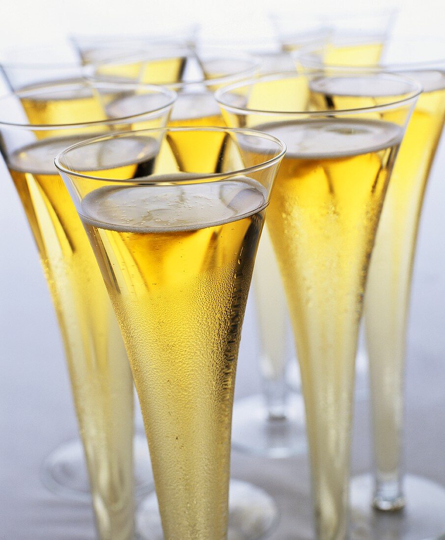 Champagne flutes