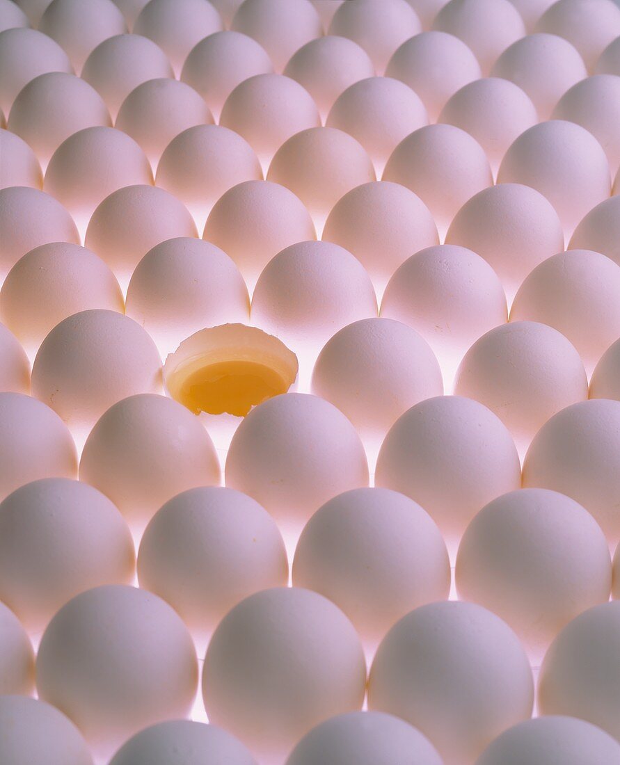 Many white eggs, one broken open