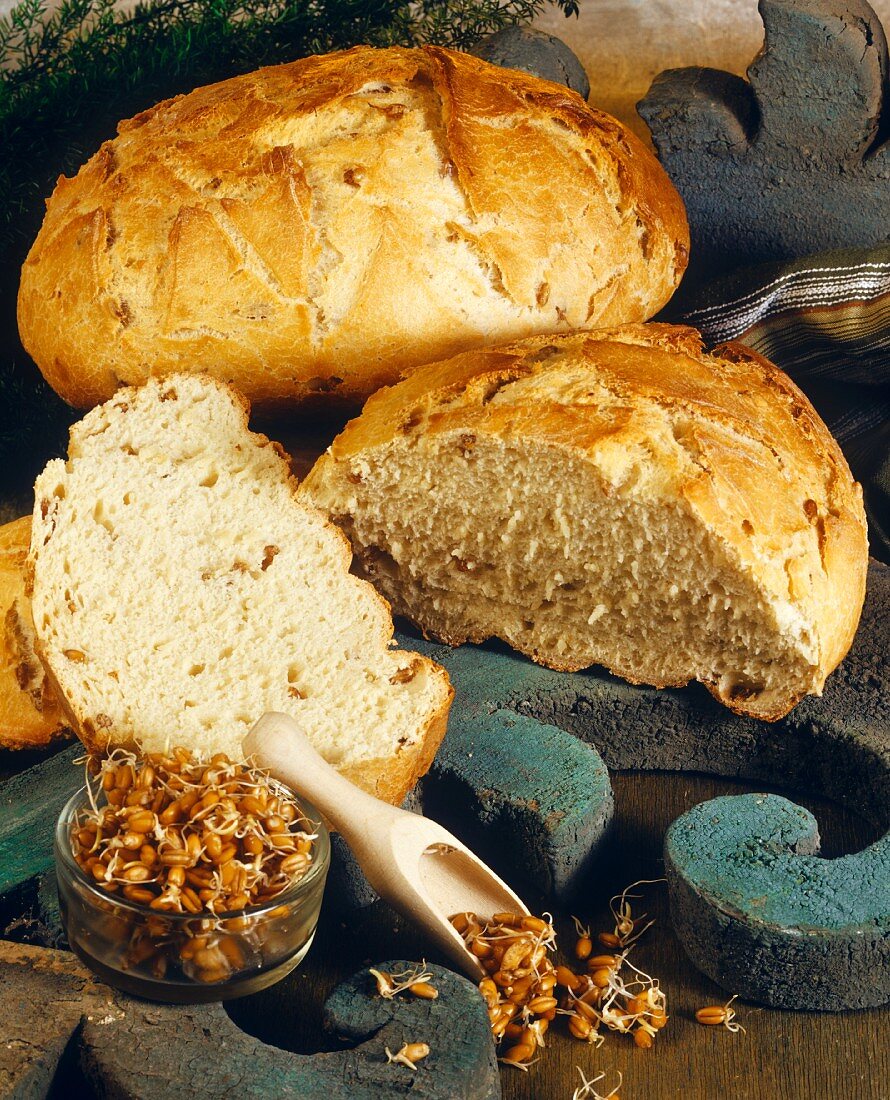 Wheatgerm bread