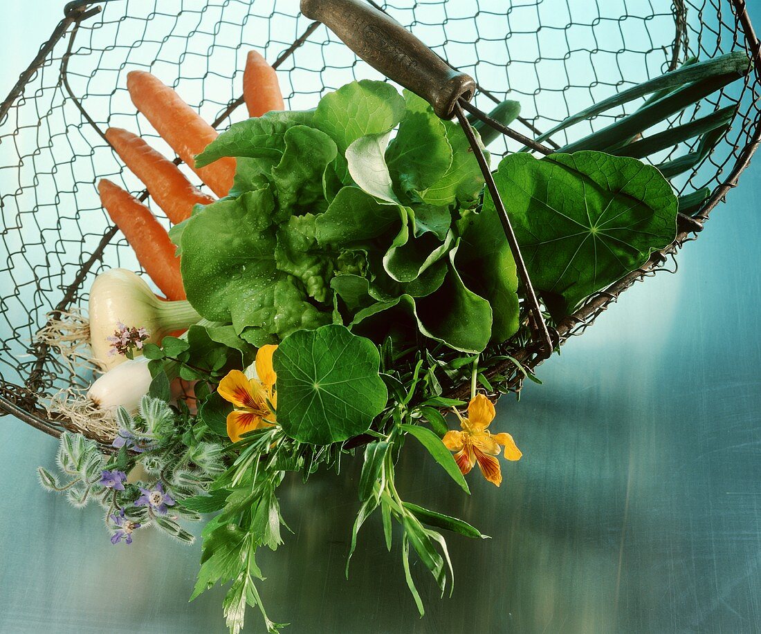 Wire basket with fresh herbs and vegetables