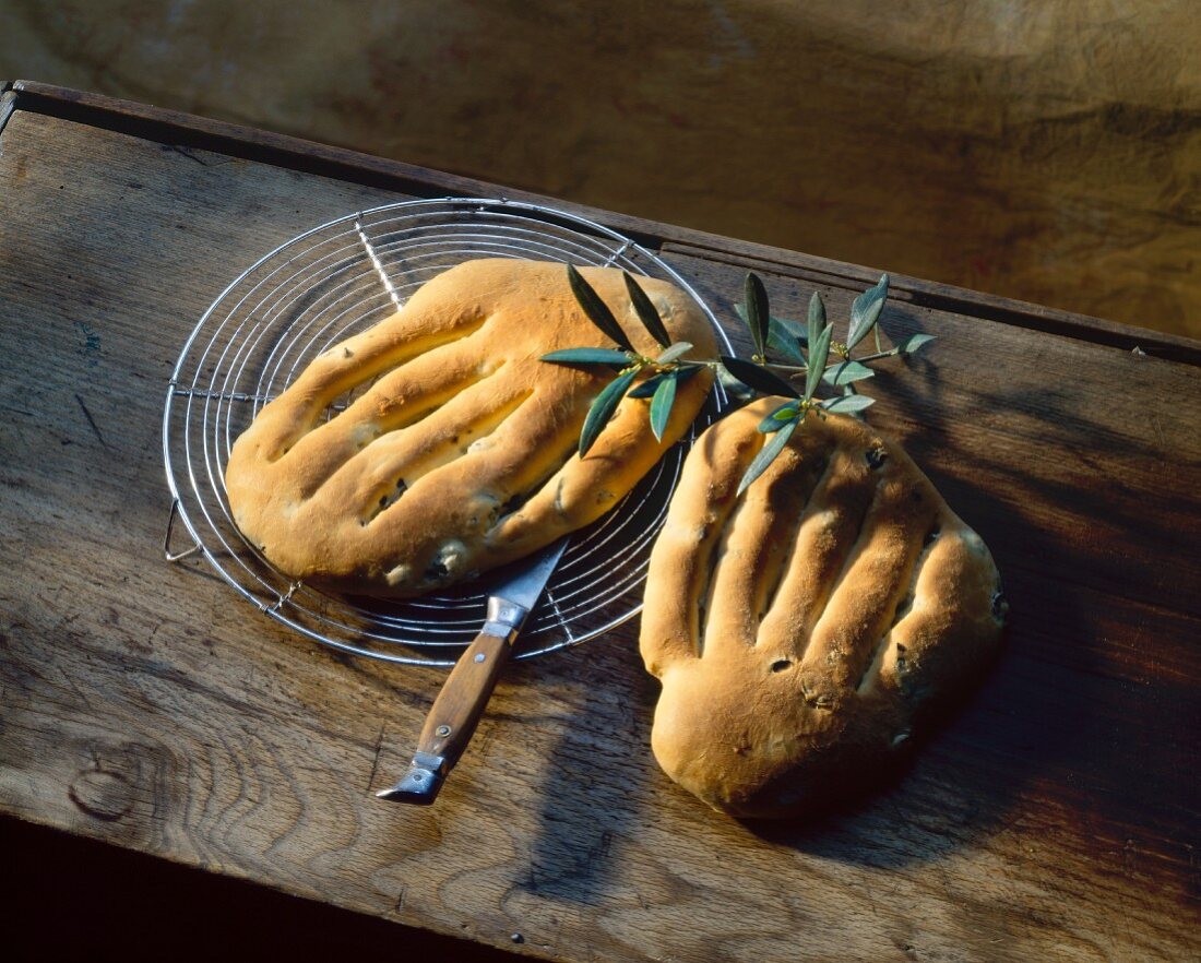 Französisches Olivenbrot auf Holzbrett mit Olivenzweigen