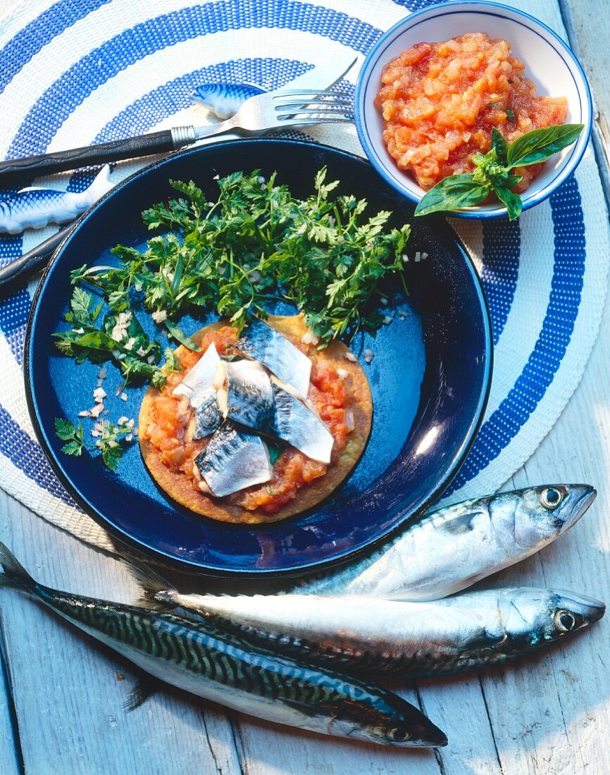 Tartlet with mackerel and tomato puree