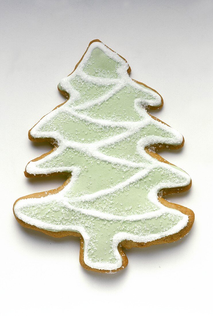 Gingerbread fir tree with green and white icing