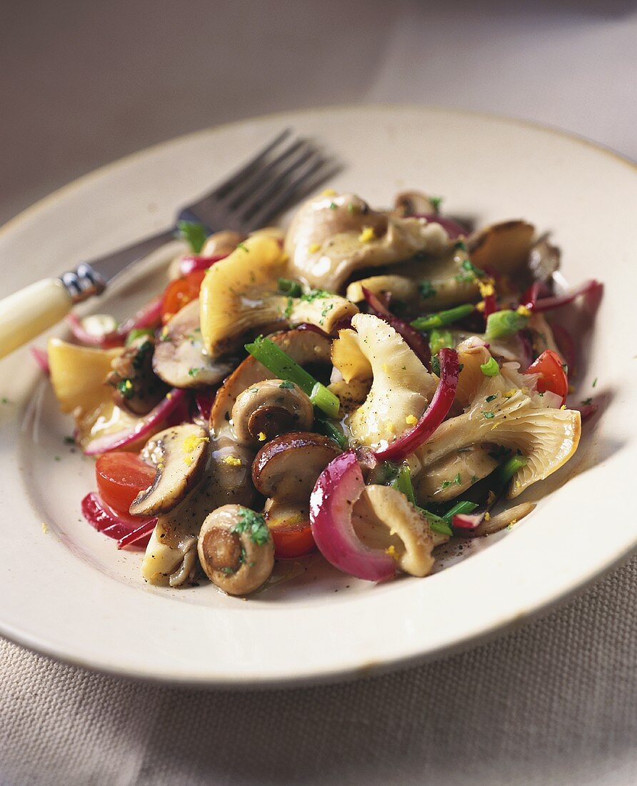 Pilzsalat mit Champignons, Austernpilzen und Egerlingen