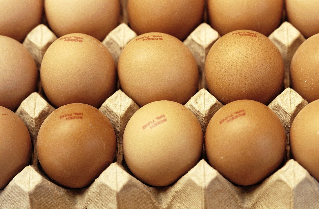Brown eggs in egg boxes (filling the picture)
