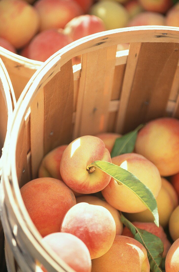 Peaches in a basket