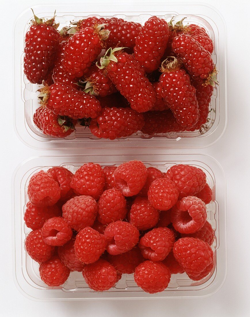 Two types of raspberries in plastic punnets