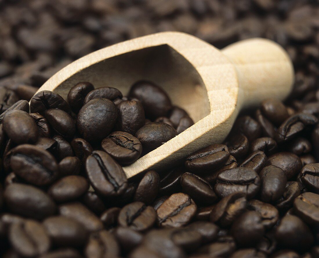 Kaffeebohnen mit Holzschaufel