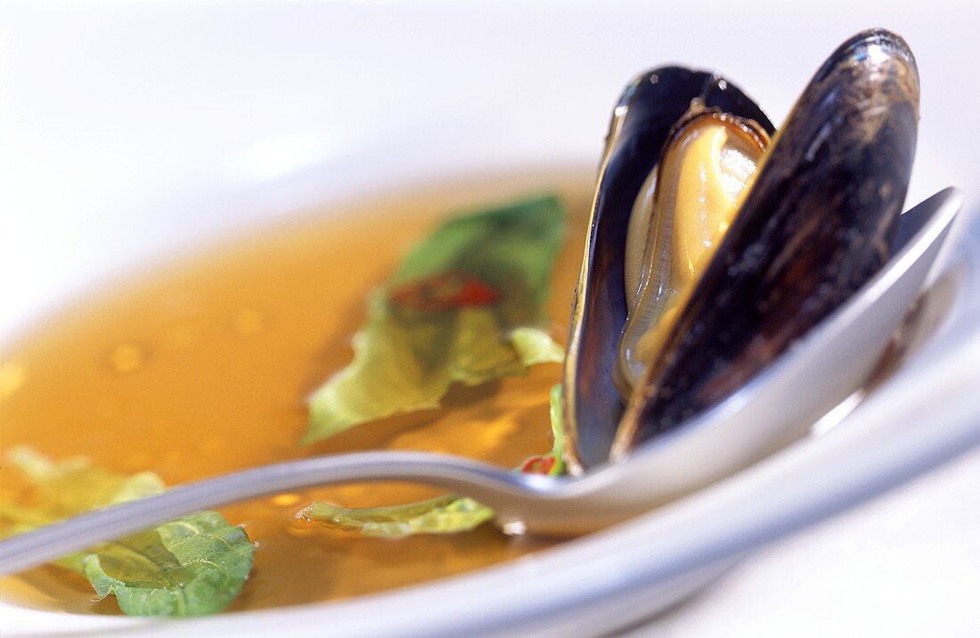 Mussel with cooking liquor