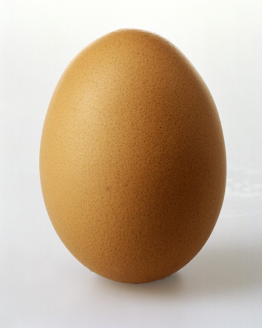 One Brown Egg