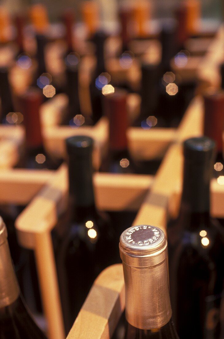 Wine bottles in wine rack