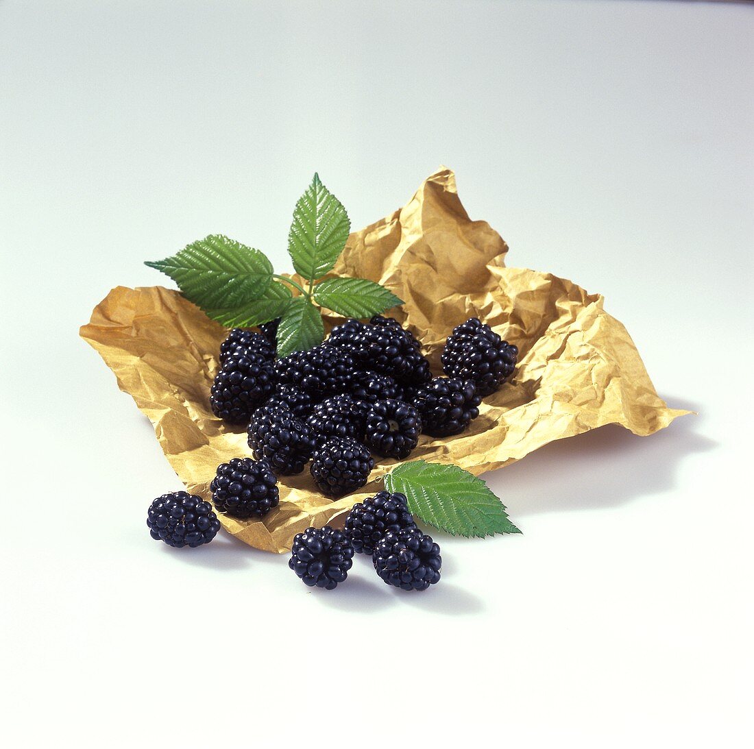 Fresh blackberries on paper