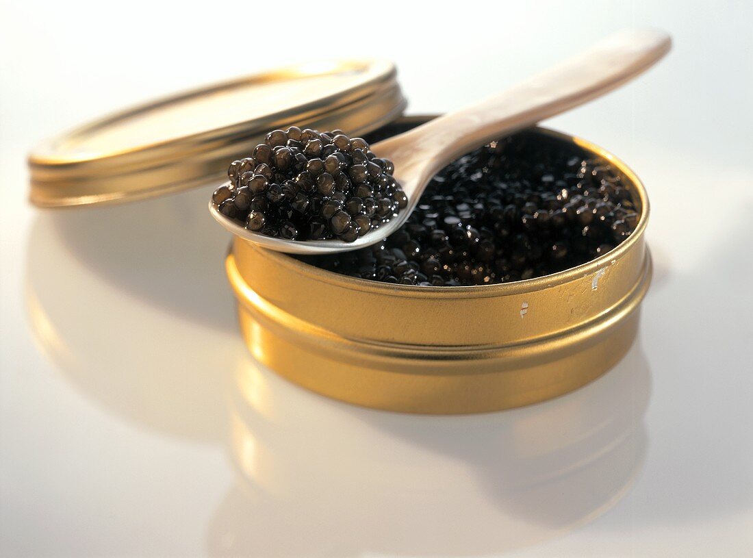 Black caviare in a tin