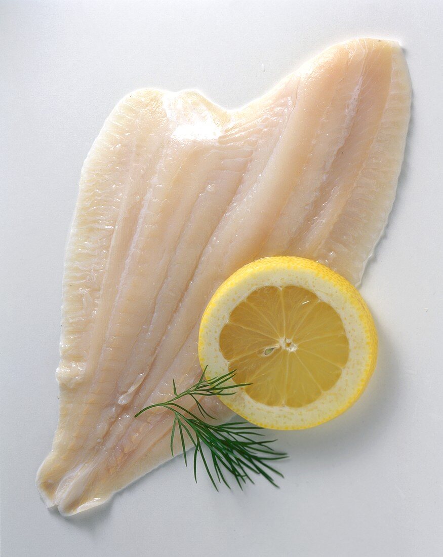 Flounder Fillet