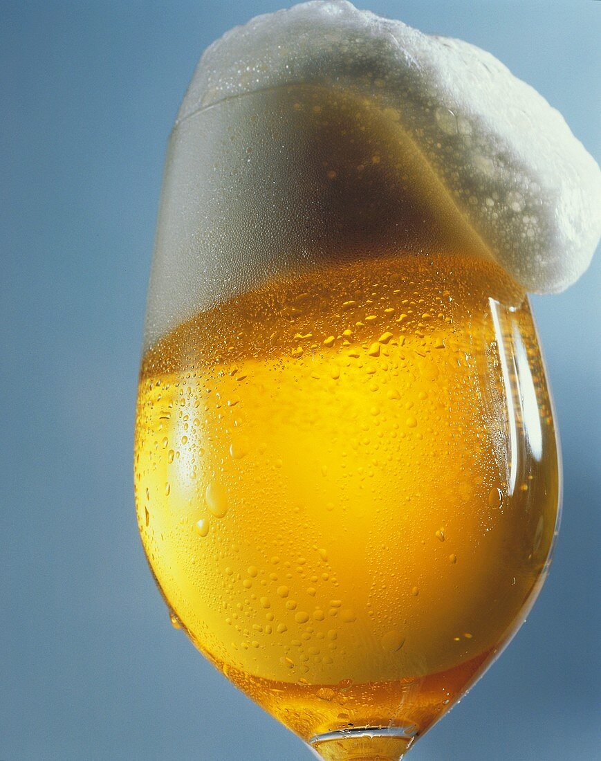 A glass of freshly tapped Pils
