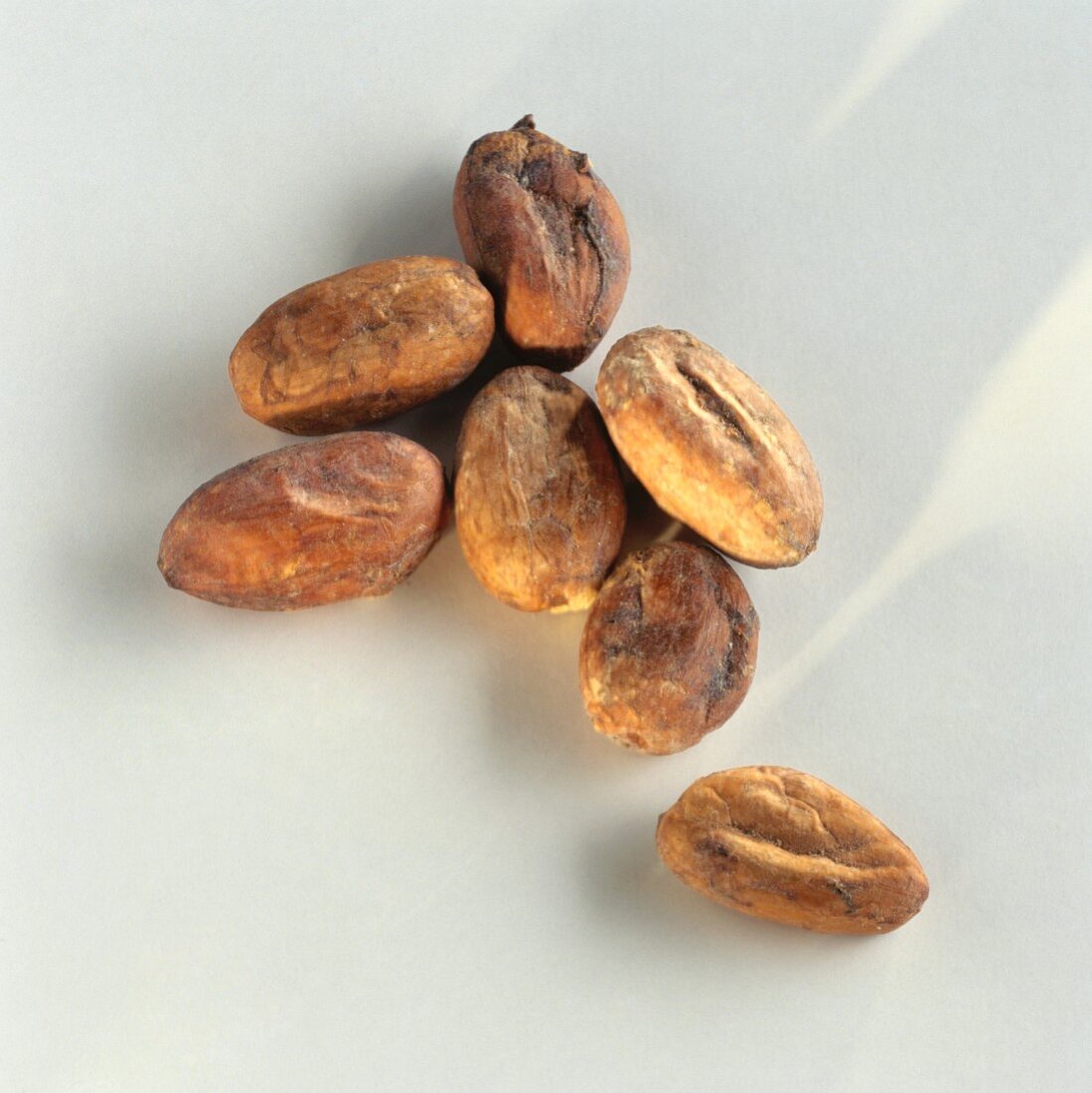 Cocoa beans