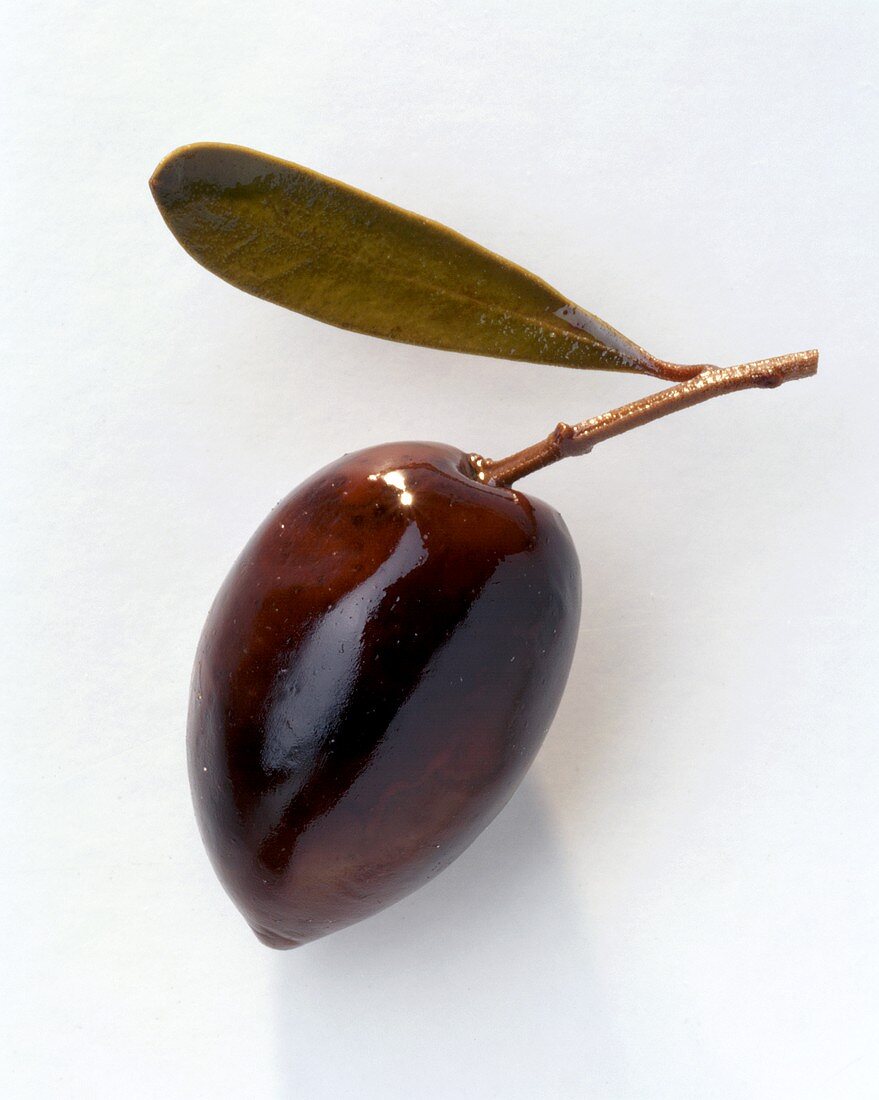 Eine dunkle Olive mit Blatt