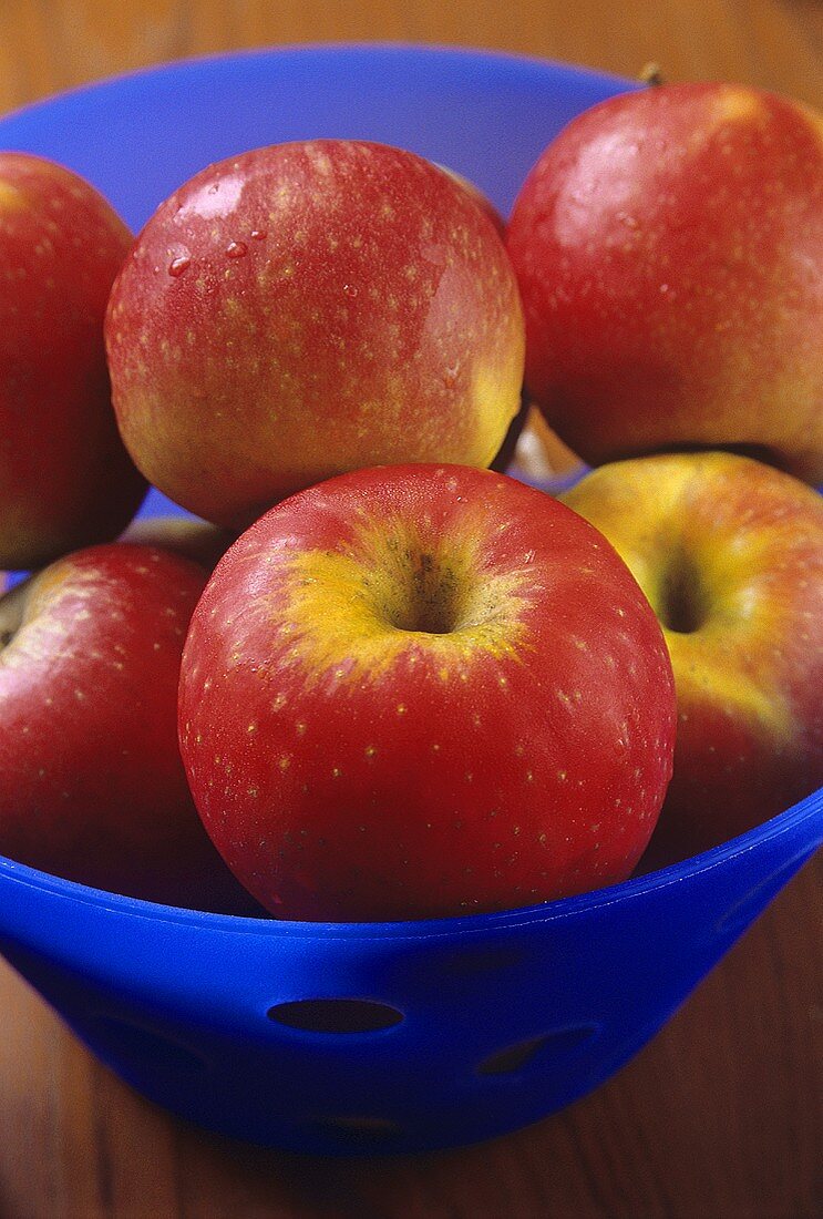 Rote Äpfel (Sorte Boskop) in einer Schale