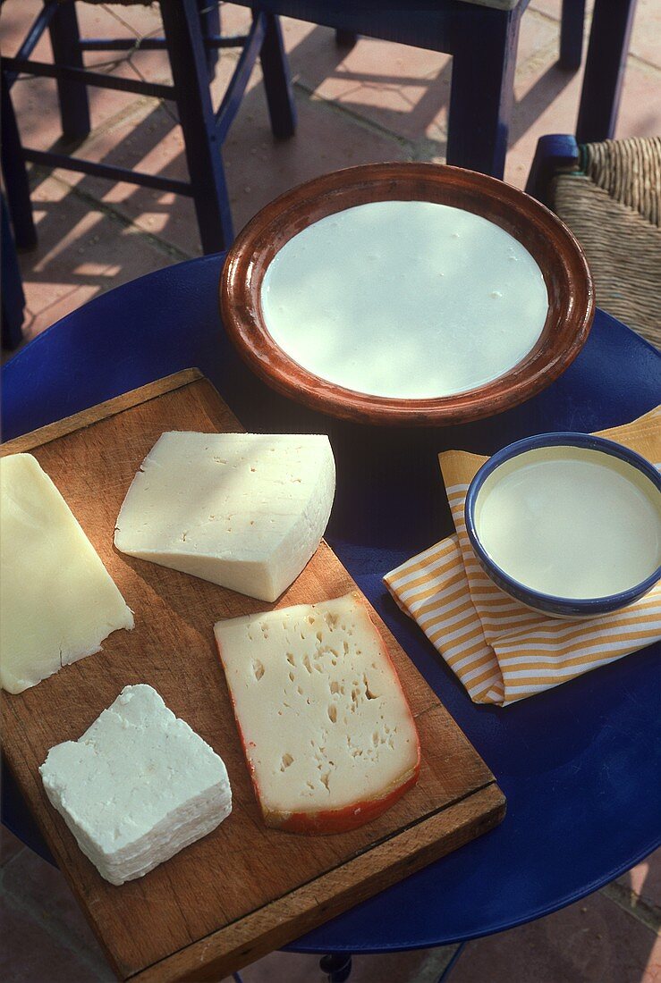 Verschiedene griechische Käsesorten