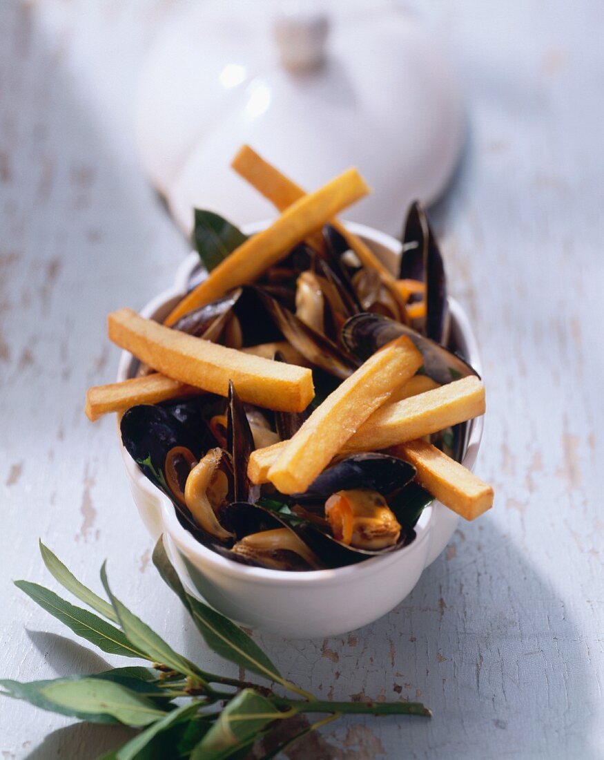 Belgian speciality: mussels with chips