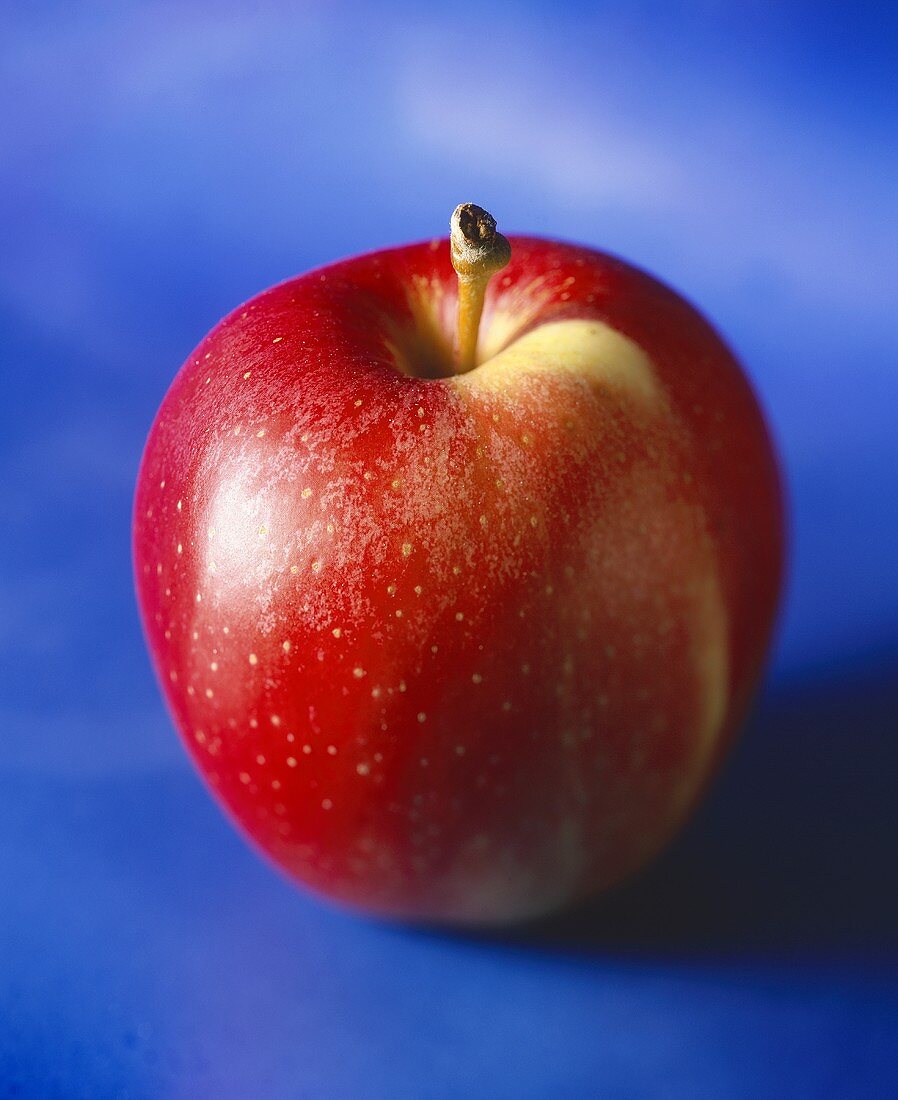 Red apple against blue background