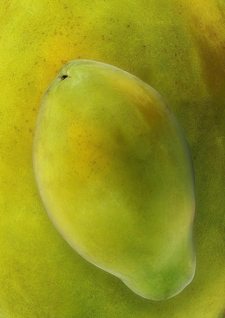 Green papaya, background: magnified papaya