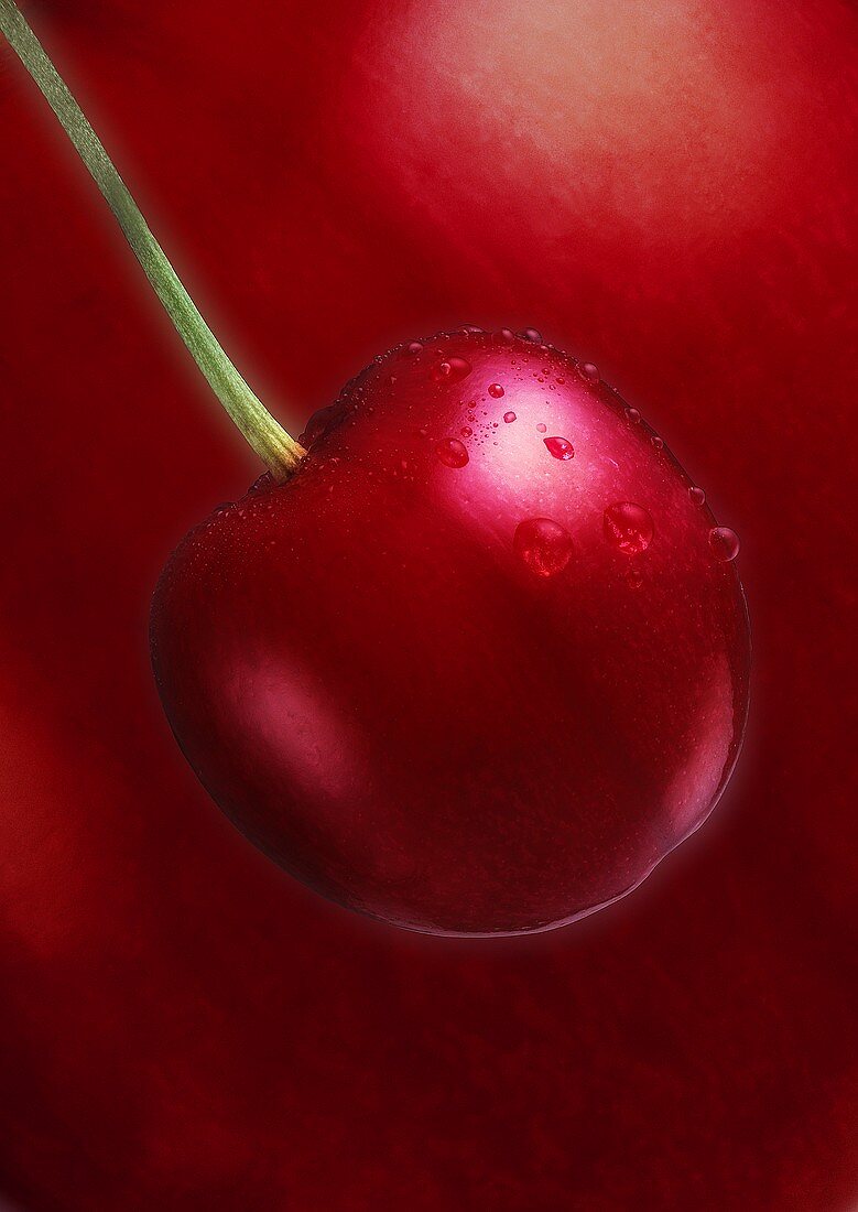 Close Up of Red Cherry