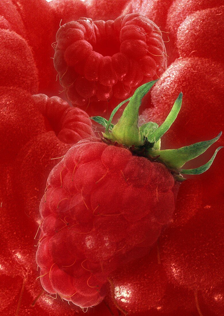 Artistically arranged still life with raspberries