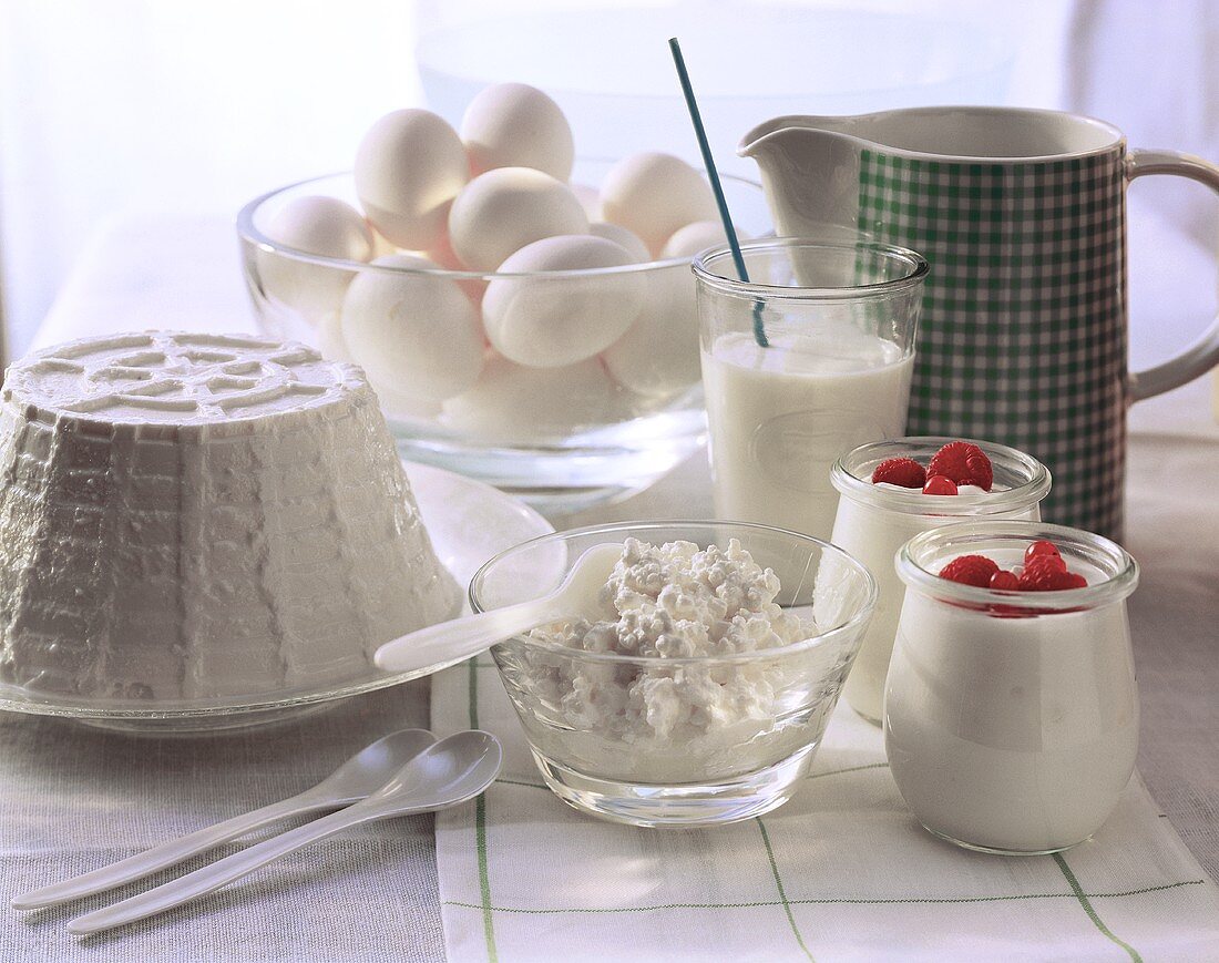 Stillleben mit Frischkäse, Joghurt, Milch und Eiern