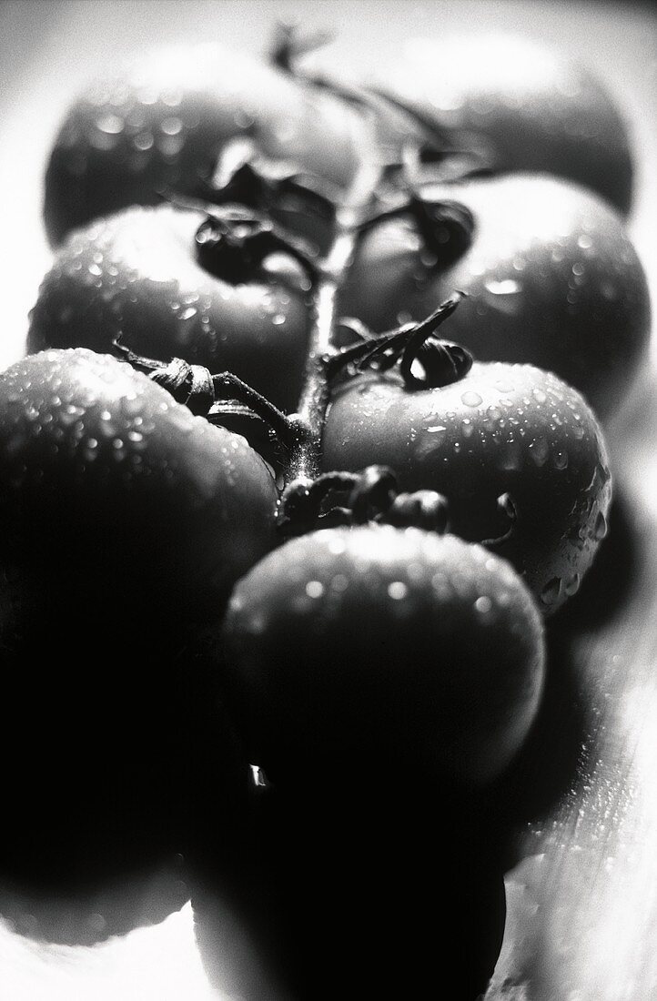 Washed Vine Tomatoes
