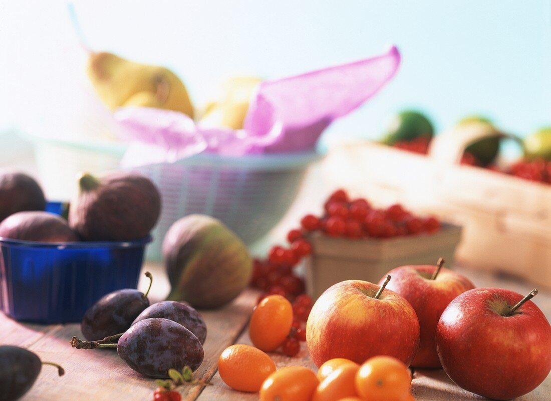 Verschiedenes Obst und Beeren zum Einmachen