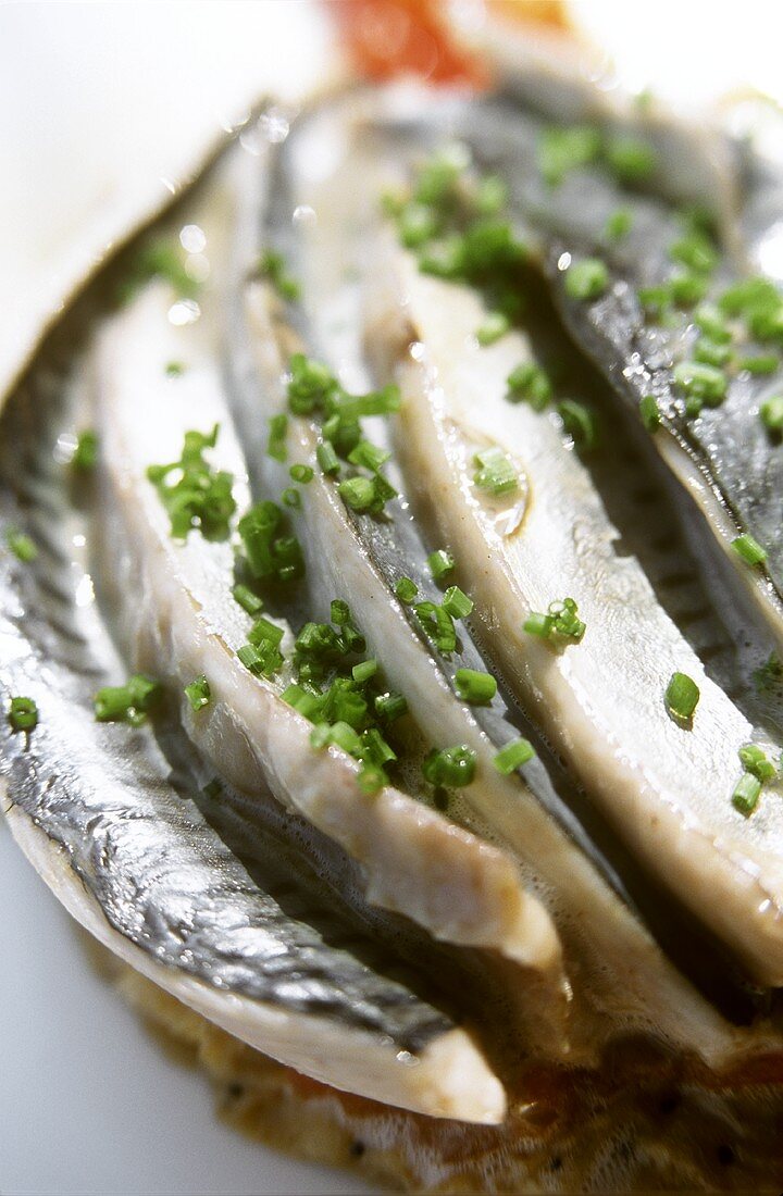 Marinate fillets of young mackerel on vegetable rosti